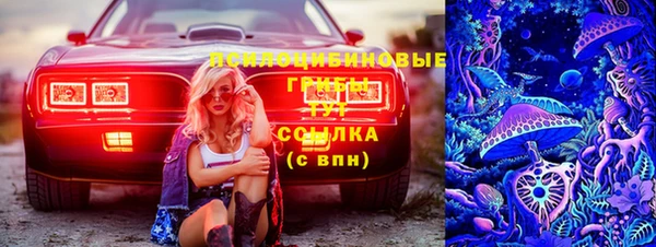ПСИЛОЦИБИНОВЫЕ ГРИБЫ Сатка